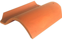 Teja Caribe